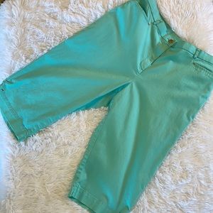 TanJay Stretch Seafoam Capri Pants Size 16P